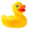 national rubber ducky day